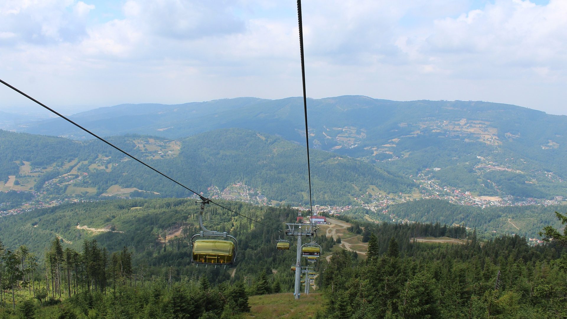 forest-4345932_1920