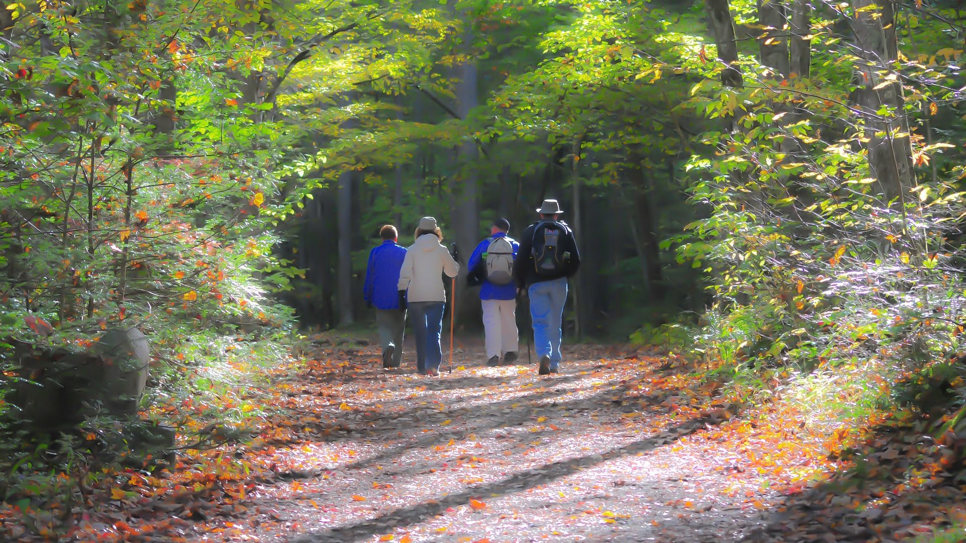 hiking-1232453_1920